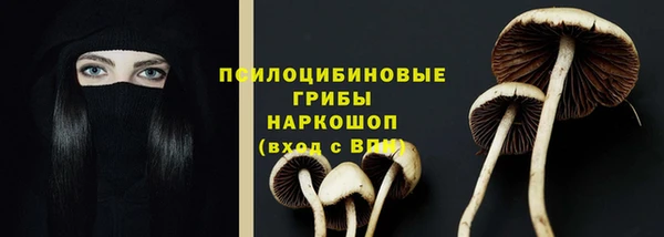прущие крисы Беломорск