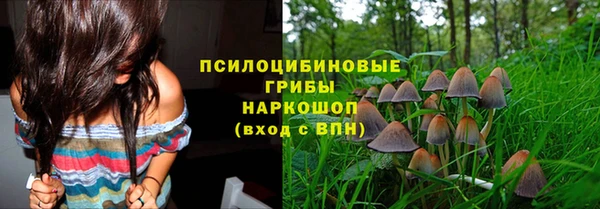 apvp Балахна