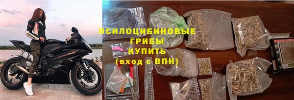 прущие крисы Беломорск
